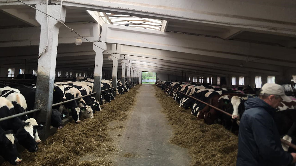 Под Ярославлем строят молочно-товарную ферму за 1,2 млрд рублей